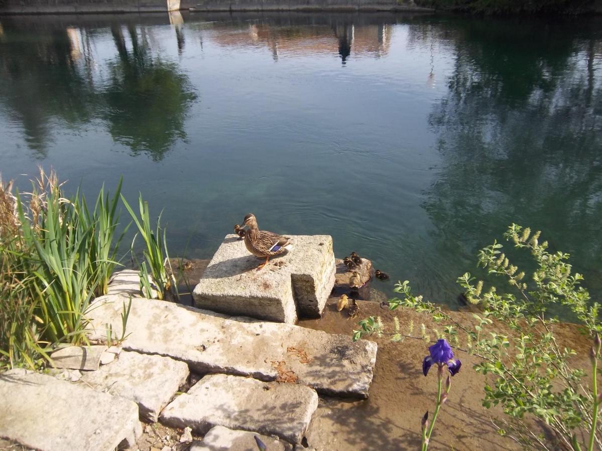 Mas Le Pont Des Aubes Bed & Breakfast LʼIsle-sur-la-Sorgue Екстериор снимка