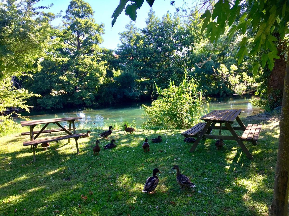 Mas Le Pont Des Aubes Bed & Breakfast LʼIsle-sur-la-Sorgue Екстериор снимка